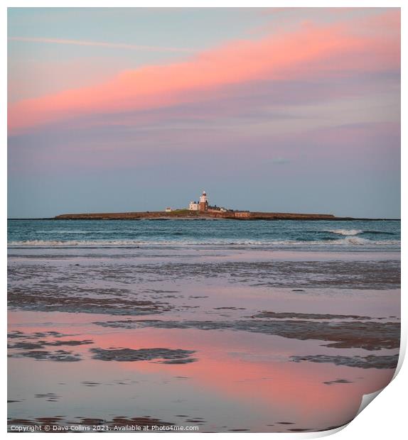 Coquet Island, Northumberland Print by Dave Collins