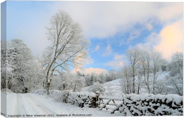 Snow scene, Wythop Valley, the Lake District Canvas Print by Peter Wiseman
