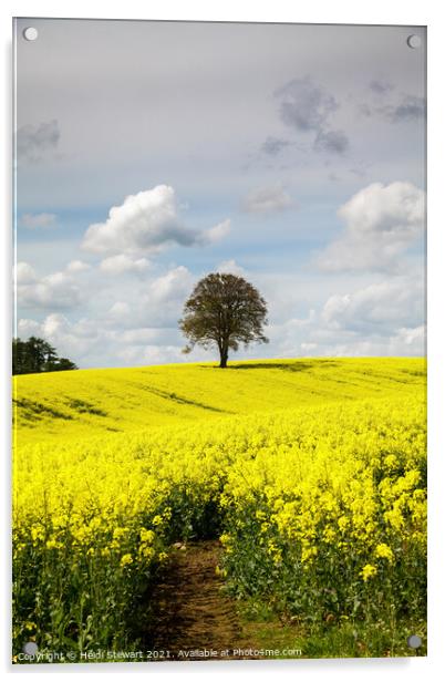 Lone Tree in a Field of Yellow Acrylic by Heidi Stewart