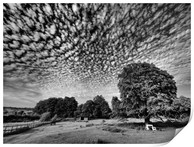 Lonely tree in field with mackerel sky clouds Print by mark humpage