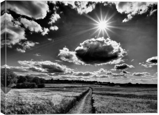 Sun bursting through clouds, black and white. Canvas Print by mark humpage