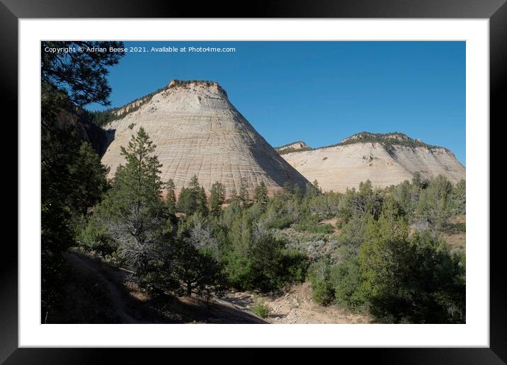 Checkerboard Mountain Zion National Park Framed Mounted Print by Adrian Beese