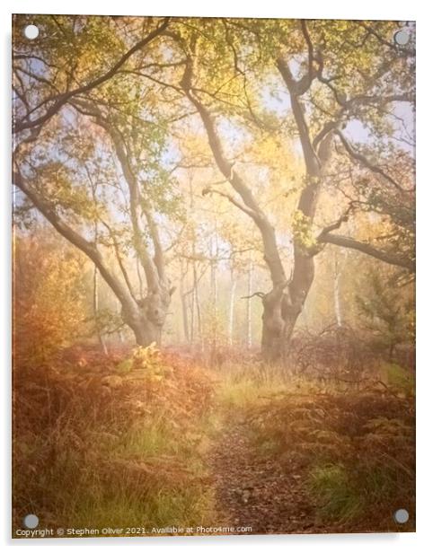 Misty Woodland Acrylic by Stephen Oliver