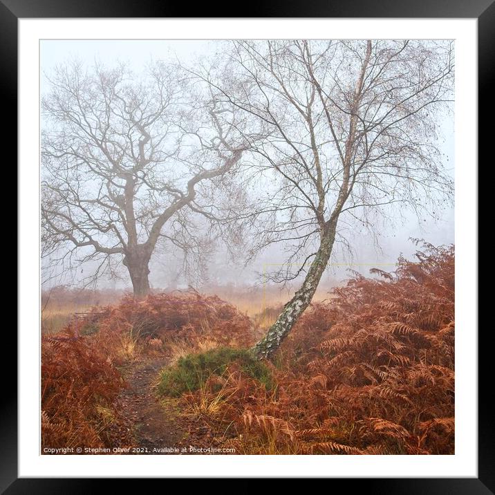 Misty Wonderland  Framed Mounted Print by Stephen Oliver