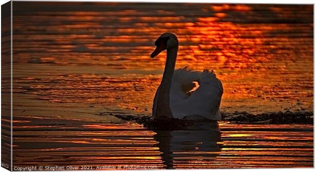 Abstract Swan Canvas Print by Stephen Oliver