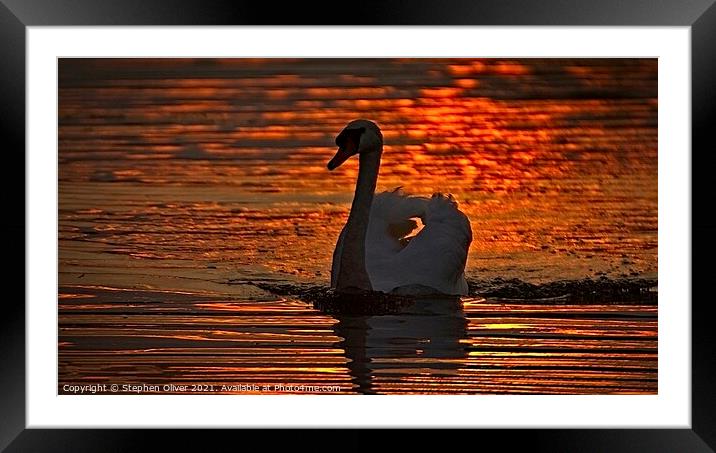 Abstract Swan Framed Mounted Print by Stephen Oliver
