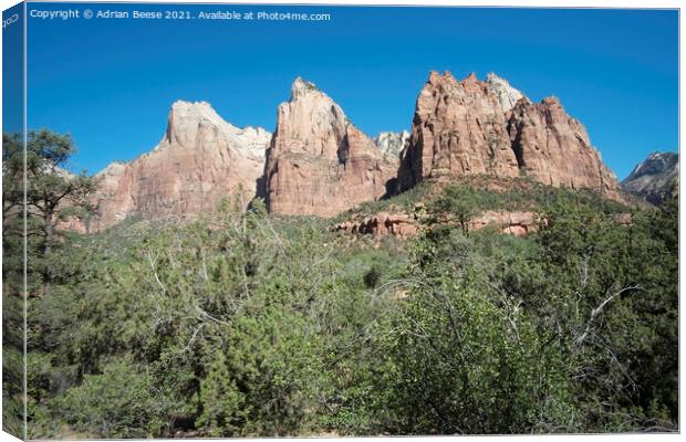 Temples and Towers Mountain Zion National Park Canvas Print by Adrian Beese