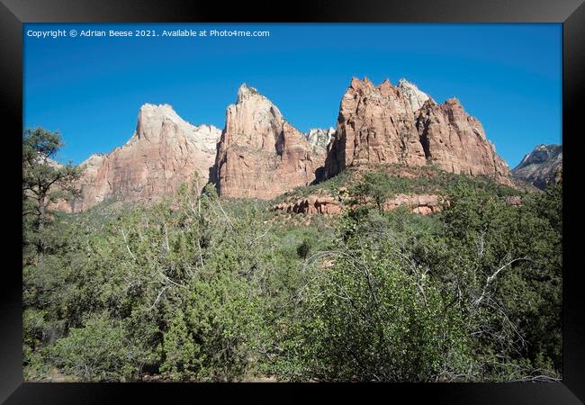 Temples and Towers Mountain Zion National Park Framed Print by Adrian Beese