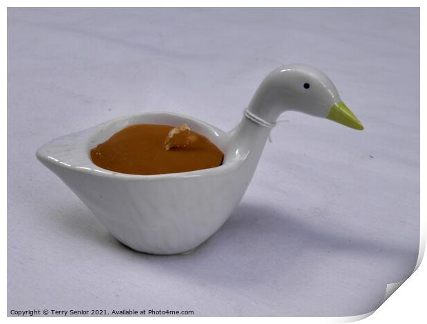 Ceramic Duck candle Print by Terry Senior