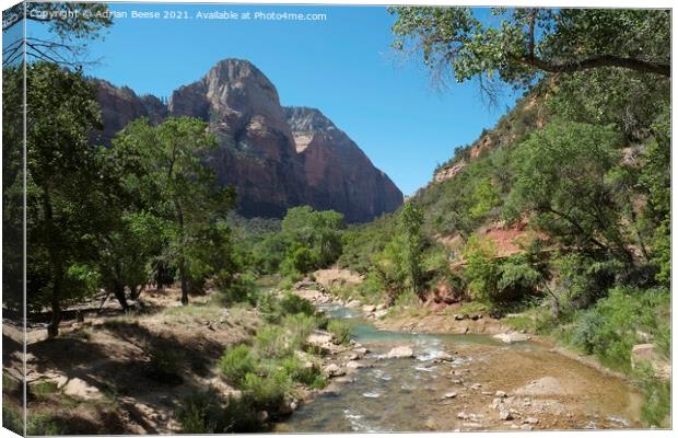 The River leading to Angels Landing Zion National Park Canvas Print by Adrian Beese