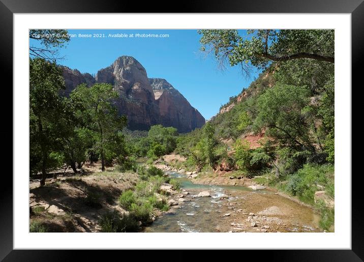 The River leading to Angels Landing Zion National Park Framed Mounted Print by Adrian Beese