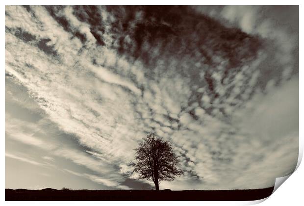 tree and clouds Print by Simon Johnson