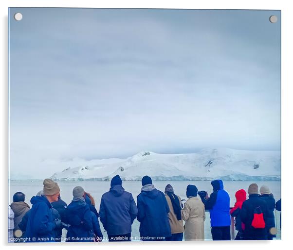 a group of people watching glacier in Antarctica Acrylic by Anish Punchayil Sukumaran