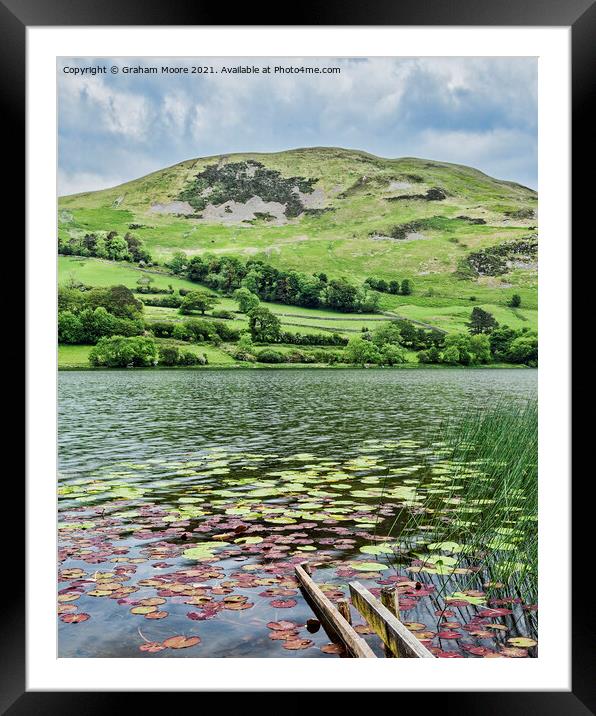 Loweswater with lily pads Framed Mounted Print by Graham Moore