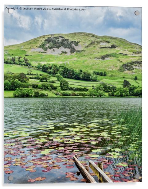 Loweswater with lily pads Acrylic by Graham Moore