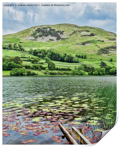 Loweswater with lily pads Print by Graham Moore