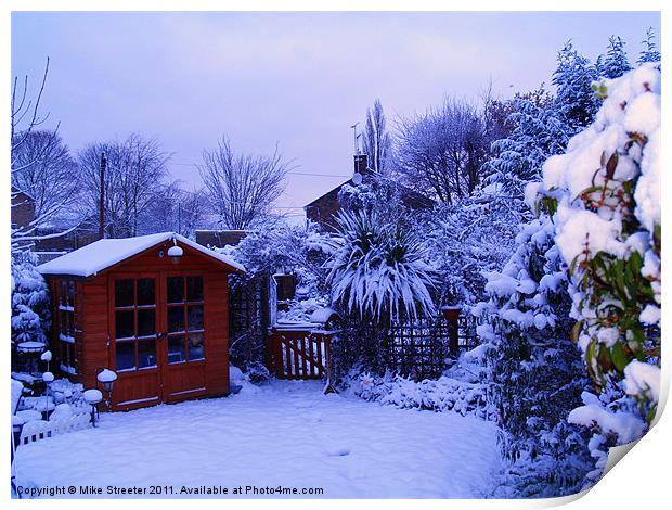 Snowy Garden Print by Mike Streeter