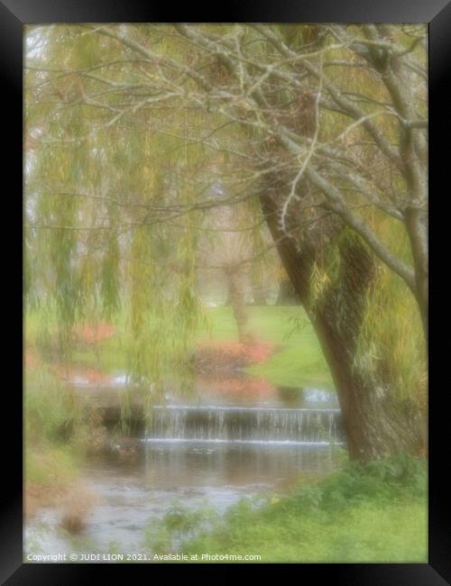 Weeping Willow Impression Framed Print by JUDI LION