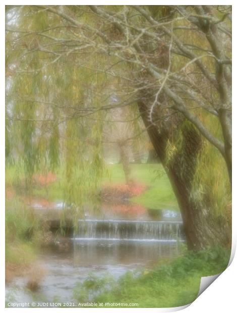 Weeping Willow Impression Print by JUDI LION