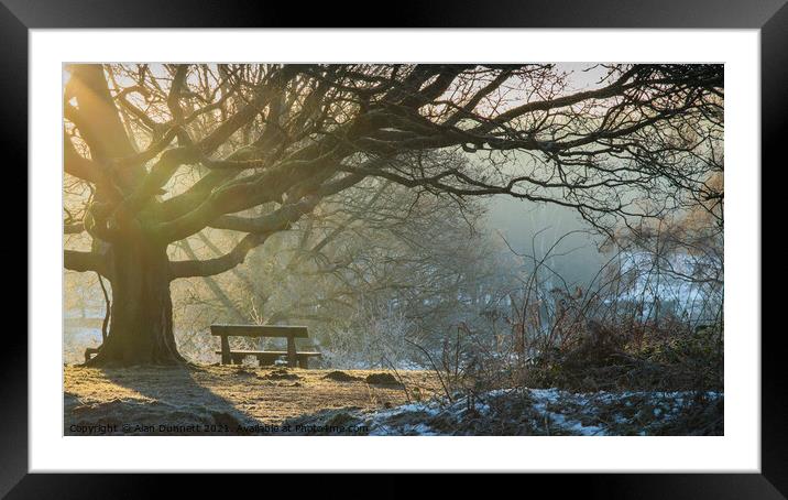 Winter sunlight and bench Framed Mounted Print by Alan Dunnett
