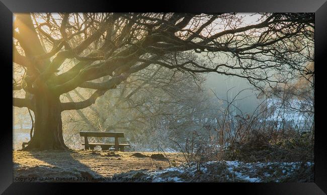 Winter sunlight and bench Framed Print by Alan Dunnett