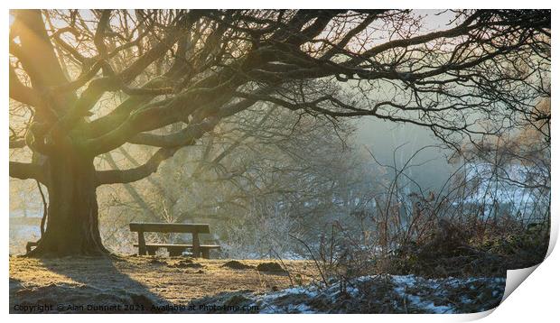Winter sunlight and bench Print by Alan Dunnett