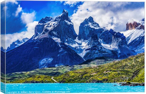 Pehoe Lake Paine Horns Torres del Paine National Park Chile Canvas Print by William Perry