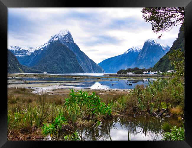 Milford Sound - New Zealand Framed Print by Steven Ralser