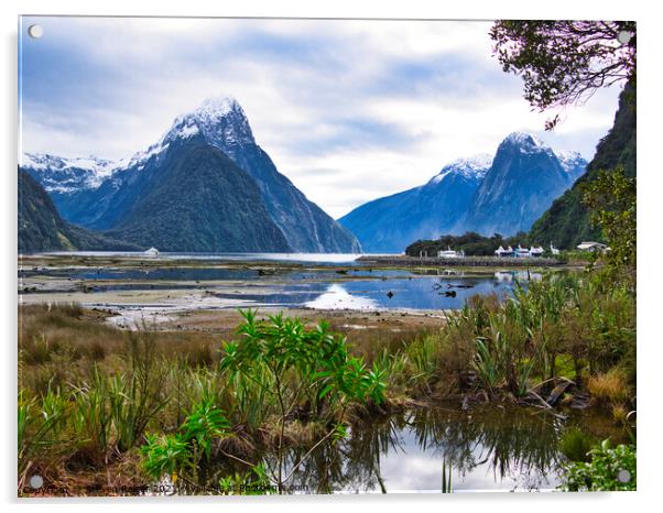 Milford Sound - New Zealand Acrylic by Steven Ralser