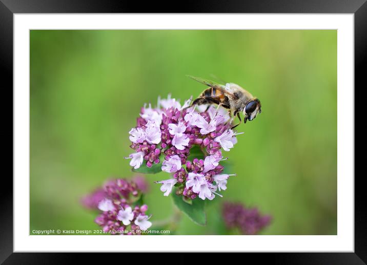 Bee Enjoying the Spring Blossom Framed Mounted Print by Kasia Design