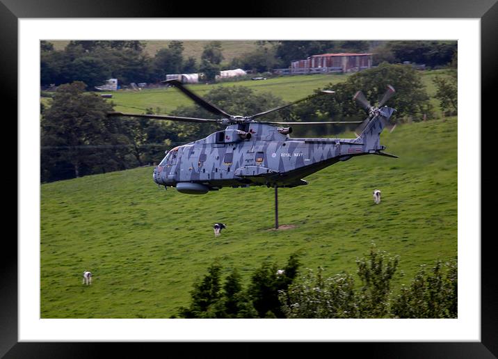 Royal Navy Striped Merlin Framed Mounted Print by Oxon Images