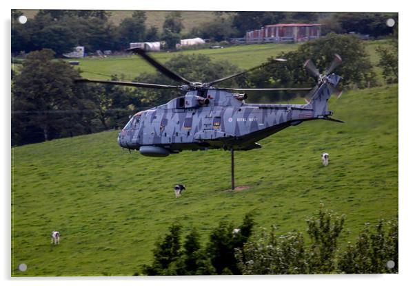 Royal Navy Striped Merlin Acrylic by Oxon Images