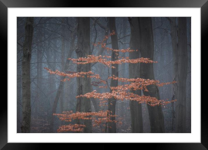 Cook Spring Wood Framed Mounted Print by Paul Andrews