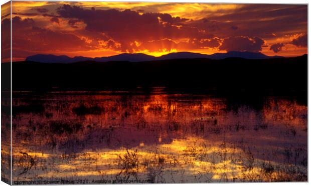 Bosque Sunset - orange Canvas Print by Steven Ralser