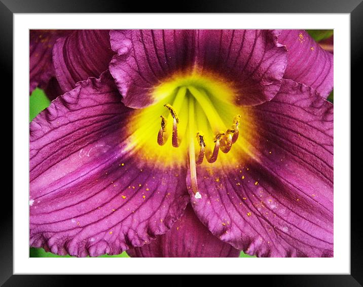 At the heart of the matter Framed Mounted Print by Patti Barrett