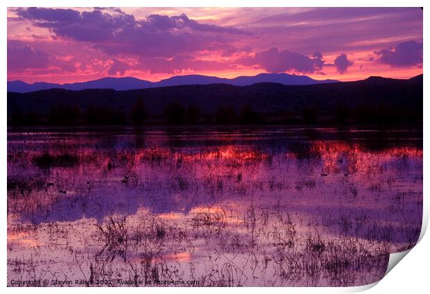 Bosque sunset - purple Print by Steven Ralser
