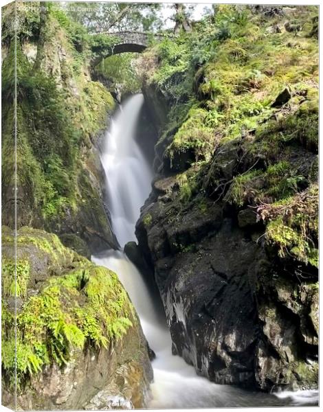 Aira Force Canvas Print by Paula Connelly