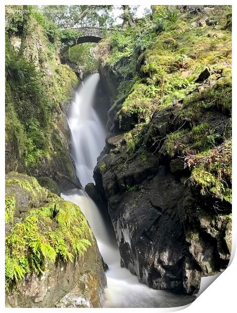 Aira Force Print by Paula Connelly