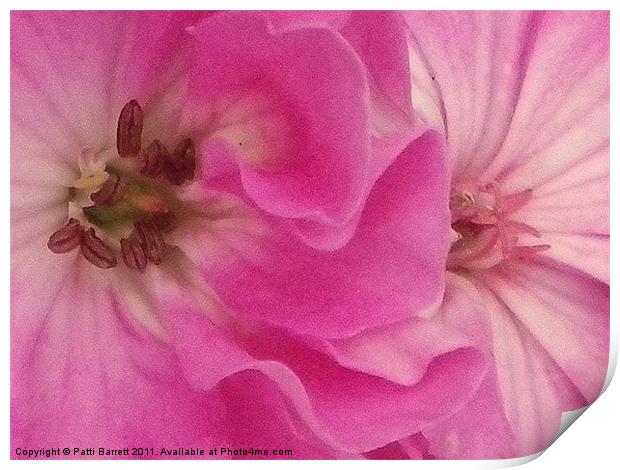 pink ruffles and flourishes Print by Patti Barrett