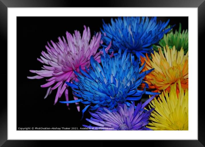 "Enjoy Each Colors of Life"  Framed Mounted Print by PhotOvation-Akshay Thaker