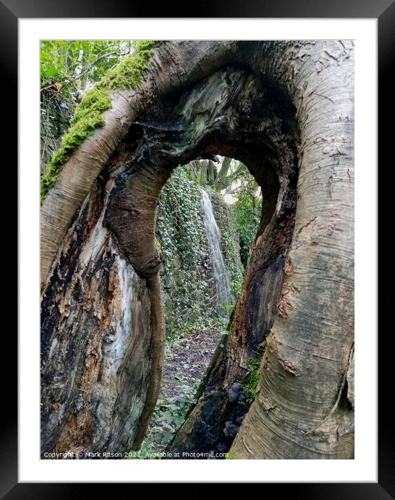 Hollow Tree Waterfall Abstract Framed Mounted Print by Mark Ritson