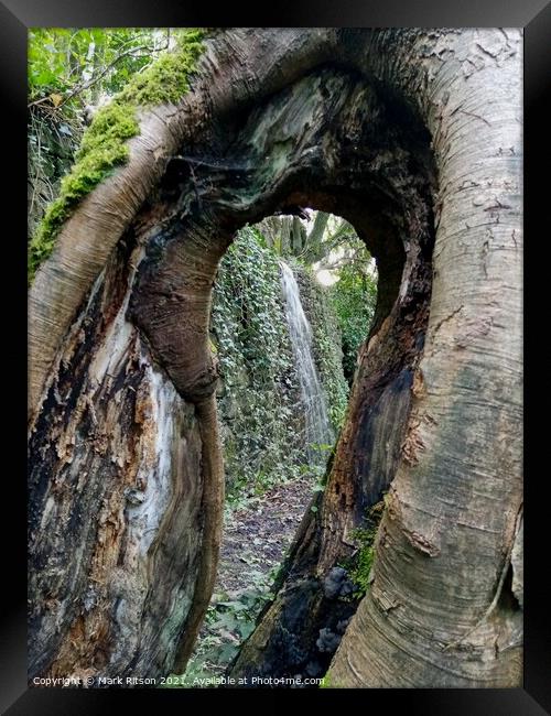 Hollow Tree Waterfall Abstract Framed Print by Mark Ritson