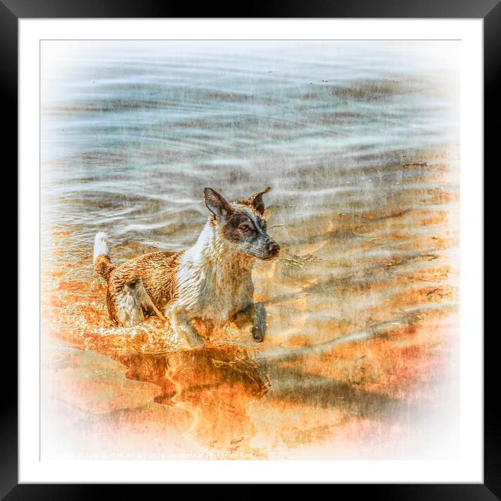 Happy Dog Enjoys A Swim in the Clyde Framed Mounted Print by Tylie Duff Photo Art