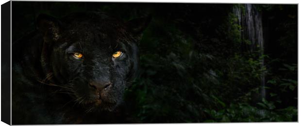 Black Panther in the Jungle at Night Canvas Print by Arterra 