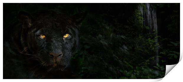 Black Panther in the Jungle at Night Print by Arterra 