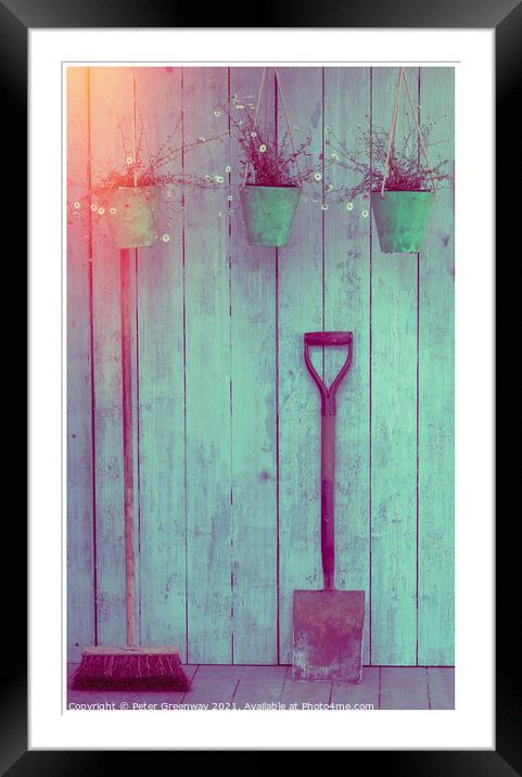 Three Hanging Green Pots Of Daisies, A Spade & A Broom  Framed Mounted Print by Peter Greenway