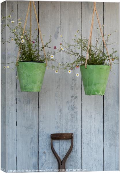 Two Hanging Green Pots Of Daisies & A Spade Handle  Canvas Print by Peter Greenway
