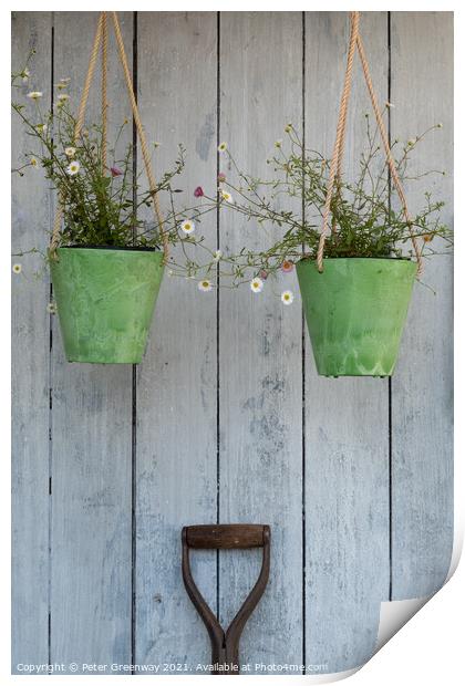 Two Hanging Green Pots Of Daisies & A Spade Handle  Print by Peter Greenway