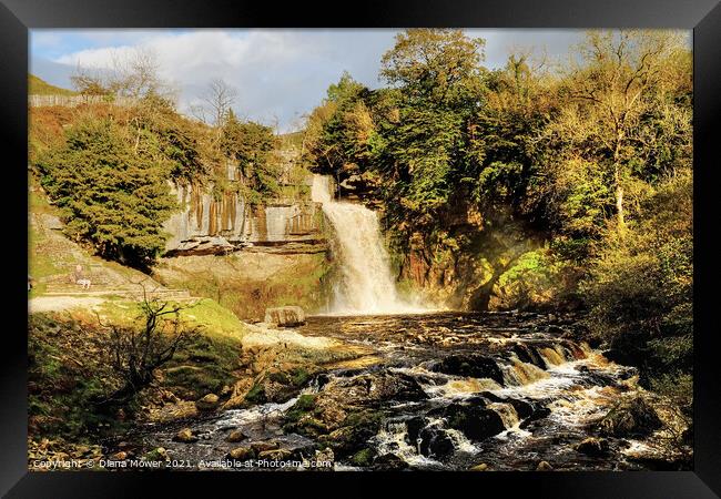 Thornton Force on the river Twiss Ingleton Framed Print by Diana Mower