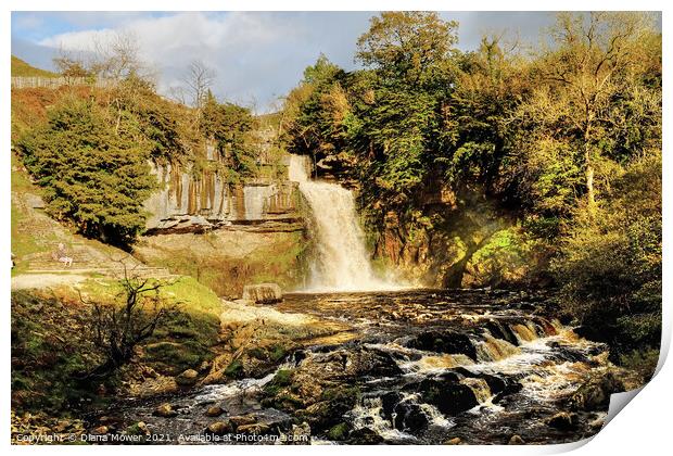 Thornton Force on the river Twiss Ingleton Print by Diana Mower